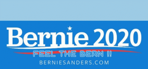 Bernie Bernie Sanders GIF - Bernie Bernie Sanders Bernie Sanders2020 GIFs