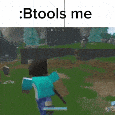 a screenshot of a video game with the words : btools me