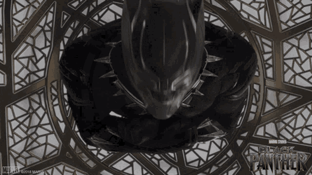 a poster for black panther shows a black cat
