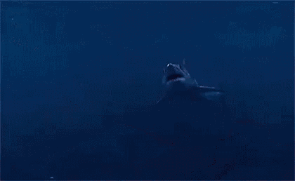 a large white shark is swimming in the ocean with its mouth open .