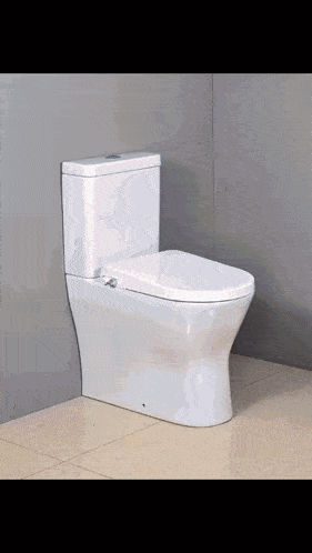 a white toilet is sitting on a tiled floor in a bathroom