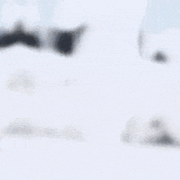 a blurry picture of a man in a white suit standing in front of a snowy forest .