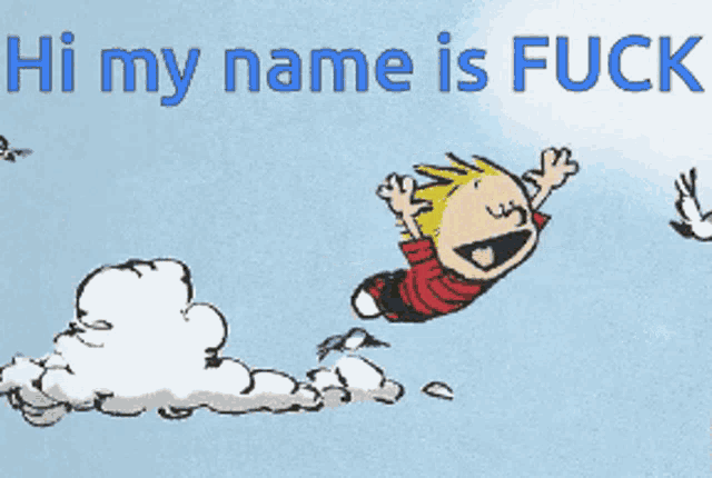 a cartoon of calvin and hobbes flying through the air with the words hi my name is fuck