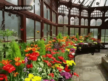 A Burst Of Colour  To Brighten Up Your Day.Gif GIF - A Burst Of Colour To Brighten Up Your Day Flowers Trending GIFs