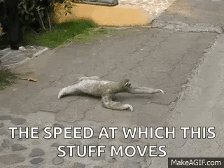 Sloth Slow GIF - Sloth Slow Animal GIFs