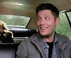 a man is sitting in the back seat of a car with a dog .