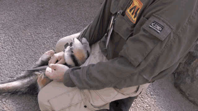 a person wearing a jacket with a patch on the sleeve that says ' wildlife ' on it