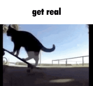 a black cat is riding a skateboard on a ramp .