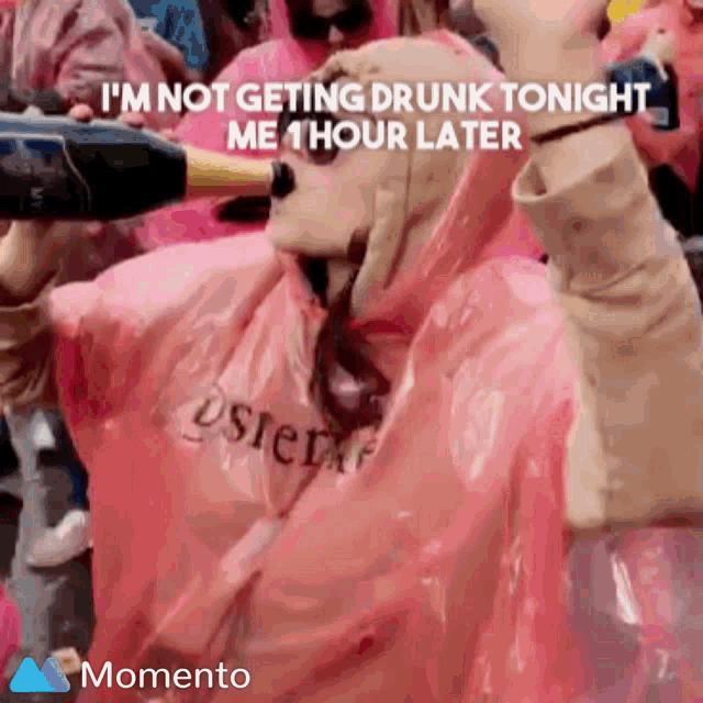 Party Alcohol GIF - Party Alcohol Excited GIFs