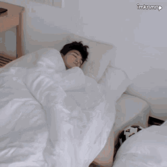 แพทริค Sleep GIF - แพทริค Sleep ฝัน GIFs