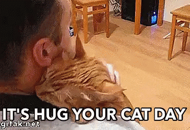 Hug Your Cat Day GIF - Hug Your Cat Day Hug Cuddle GIFs