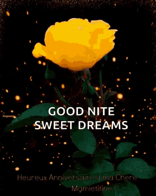 a yellow rose with the words good nite sweet dreams written below it