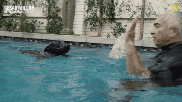 a man playing with a dog in a pool with the name cesar millan on the bottom