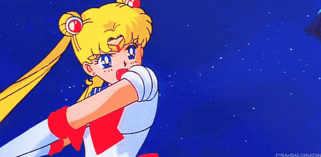 a cartoon of a girl with the word sailormoon on the bottom