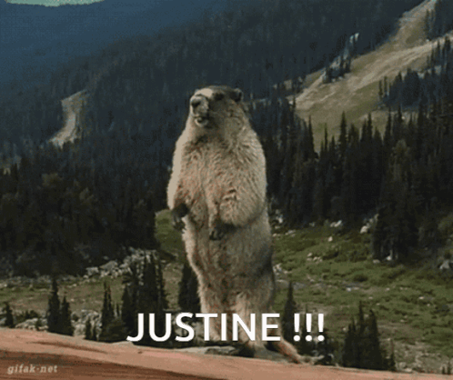 Justine Marmotte GIF - Justine Marmotte Hey GIFs