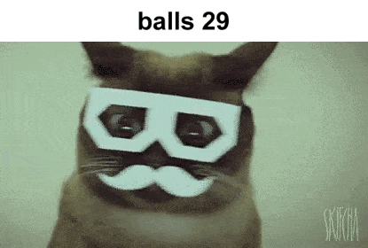 Balls 29 Cat GIF - Balls 29 Balls Cat GIFs