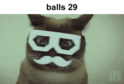 a cat wearing glasses and a mustache with the words balls 29 above it .