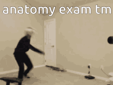 Anatomy Exam Tm GIF - Anatomy Exam Tm GIFs