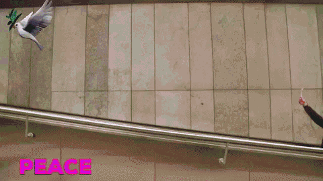 a man standing on an escalator with the word peace on the wall behind him