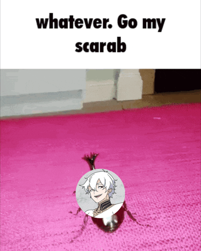 a pink rug with a picture of a scarab and the words " whatever go my scarab "