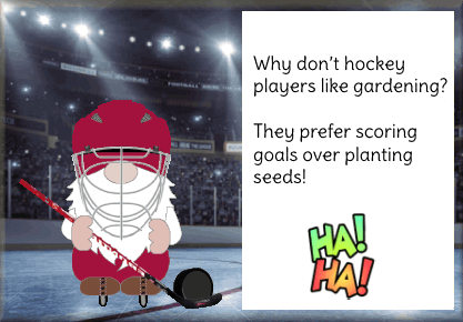 Gnome Hockey GIF - Gnome Hockey Funny GIFs