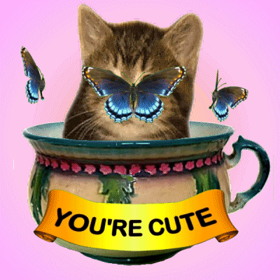 You'Re Cute Kitten In Po GIF - You'Re Cute Kitten In Po Chamber Pot GIFs