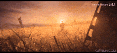 a gif from bilibili shows a man walking through a field at sunset
