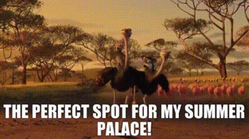 Madagascar King Julien GIF - Madagascar King Julien The Perfect Spot For My Summer Palace GIFs