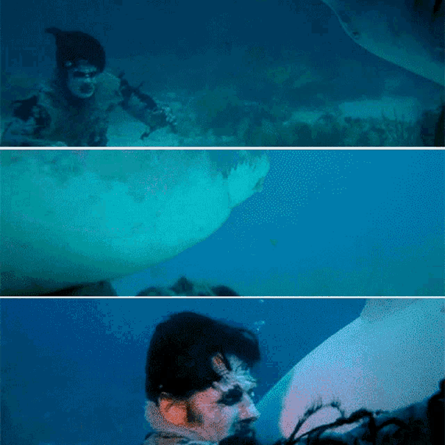a man is swimming in the ocean with a shark