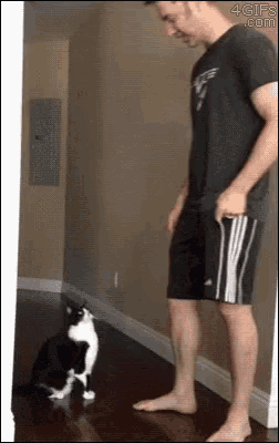 a man is standing next to a black and white cat in a room .