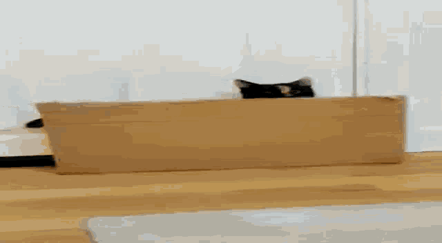 a black and white cat is peeking out of a cardboard box
