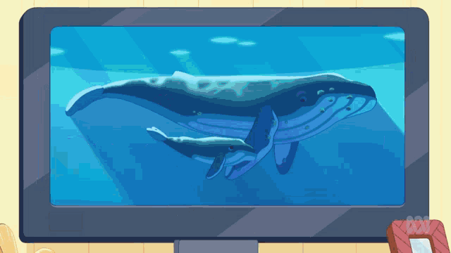 Whale Splash GIF - Whale Splash Water GIFs