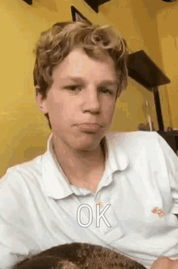 a boy in a white shirt is holding a cat and the word ok is above him