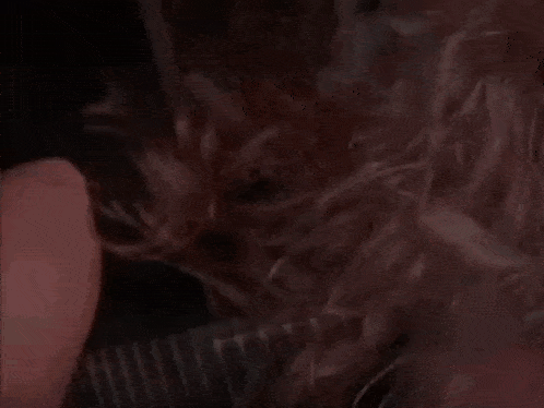 a close up of a woman 's pink hair blowing in the wind on a black background .