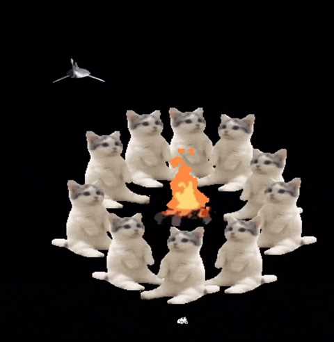 a group of cats sitting around a fire with a shark flying above them