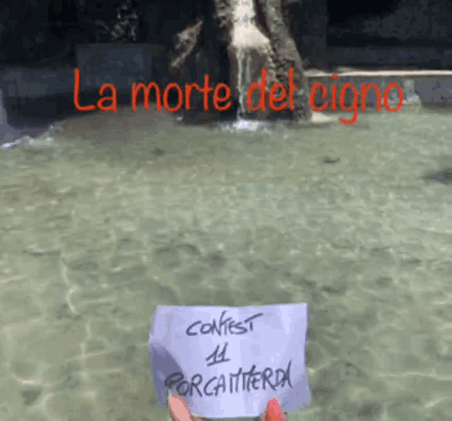 a person holding a piece of paper that says contest