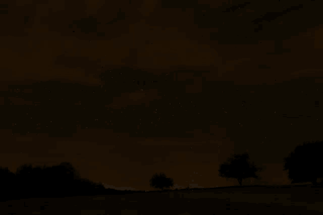 a dark night sky with trees in the foreground and stars in the background