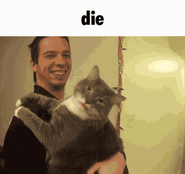 a man holds a cat in his arms with the word die above him