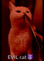 a cat with a knife in its mouth and the words evil cat below