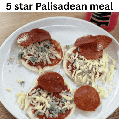 a plate of pizza with the words 5 star palisadean meal written above it