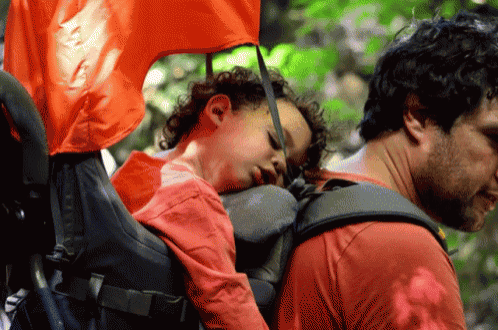 a man in a red shirt is carrying a child in a carrier