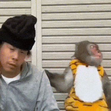 Monkey Monkey Scared GIF - Monkey Monkey Scared Weird Hair GIFs