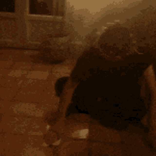 a blurred image of a person sitting on the floor