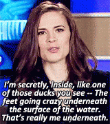 Hayley Atwell Duck GIF - Hayley Atwell Duck Crazy GIFs