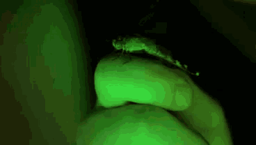 a close up of a person 's mouth with a green light coming out of it .