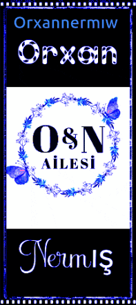 a sign that says o & n ailesi with pink butterflies