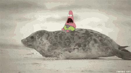 patrick star is sitting on top of a seal on the beach