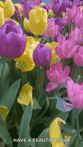 Spring Flowers GIF - Spring Flowers Natural Beauty GIFs