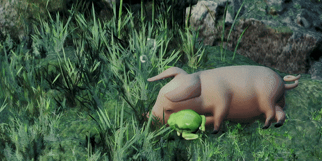 a pig and a frog are in the grass together