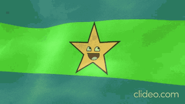 a yellow star with a smiling face on a green background
